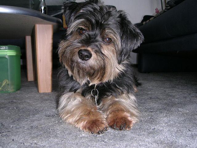 Bild 173.jpg